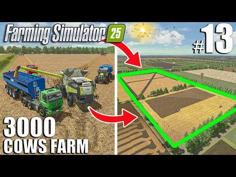 BUYING & HARVESTING NEW BiG FIELDS | The 3000 Cows Farm #13 - Farming Simulator 25