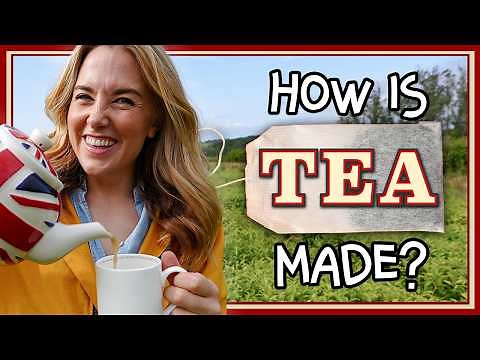 How is Tea made? (from leaf to cup!)| Maddie Moate