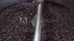Coffee roaster machine at coffee roasting process. Mixing coffee beans. Roasted spinning cooler. 4k video