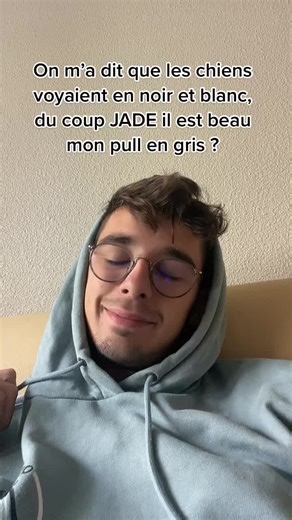 Understanding Dog Vision: Can They See Colors?