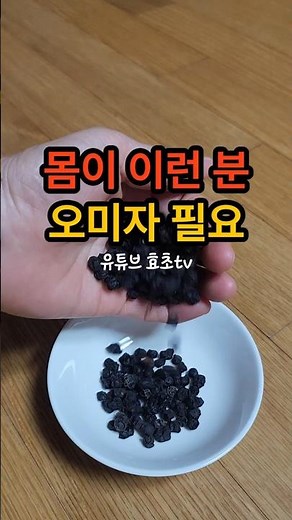자주 아픈 기관지! 오미자 드세요! 시원하게 해소 #기관지건강 #기침 #가래 #기관지염