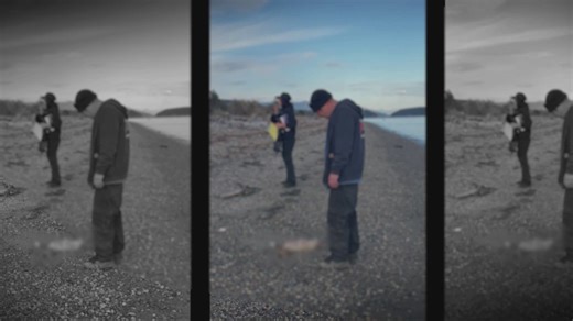 Beachgoers discover over a dozen skinned canines washed up in Washington