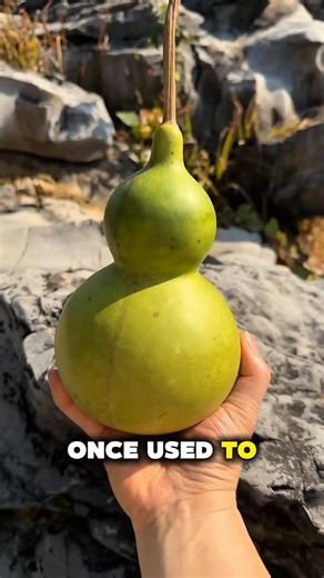 This Plant Was Turned Into a Bottle 🤯
