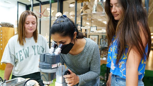 Does ASU or UA provide a superior education? See how the Wall Street Journal ranks them