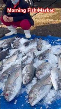Morning Fish Market In Viet Nam