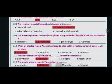 Hw session 4 chapter 3 part 1 sec 3 2026
