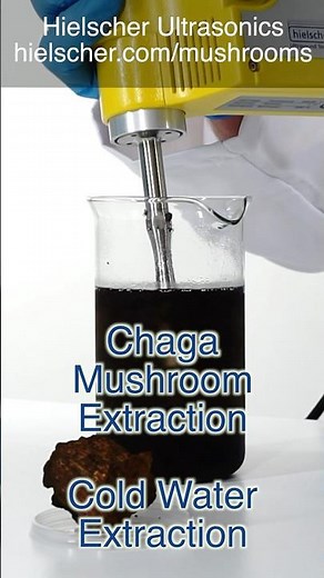 Mushroom Extraction - Cold Chaga Mushroom Extraction using Ultrasonication