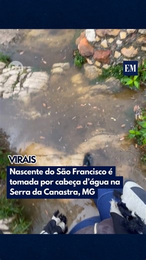Estado de Minas on Instagram: "🌊 Cabeça d’água muda cenário da nascente do Rio São Francisco na Canastra Na Serra da Canastra (MG), a nascente do Rio São Francisco foi tomada por uma cabeça d’água. O aumento repentino do volume da água alterou completamente o cenário do local, conhecido por sua beleza e importância simbólica. O vídeo impressiona pela força da natureza e pela transformação súbita do ambiente. 🎥 @cacaudakath @myhoodbr #EM #EstadodeMinas #SerraDaCanastra #MG #RioSãoFrancisco #nat