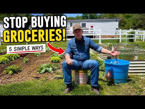 Stop Buying Groceries: 5 Simple Ways to Start Your Own Garden