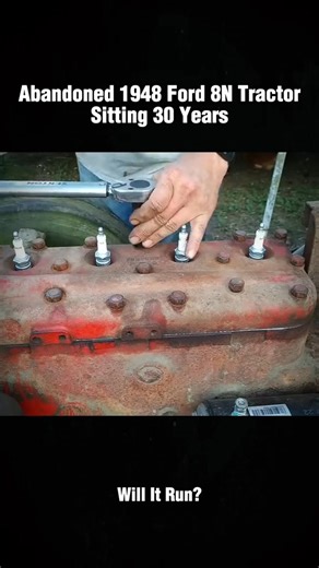 Abandoned 1948 Ford 8N Tractor sitting 30 years!WILL IT RUN#recovery #restoration #engine #old #willitrun #truck #tractor #repair #tiktok #fyp | Tube Restoration