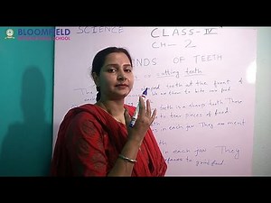 Teeth and Microbes CLASS 4 SCIENCE Chapter 2 CBSE Teeth & its importance
