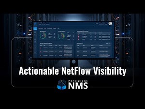 Cut Through NetFlow Noise | Intelligent Traffic Analysis with Percipient NMS