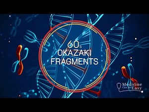Genetics in 60 seconds: Okazaki fragments
