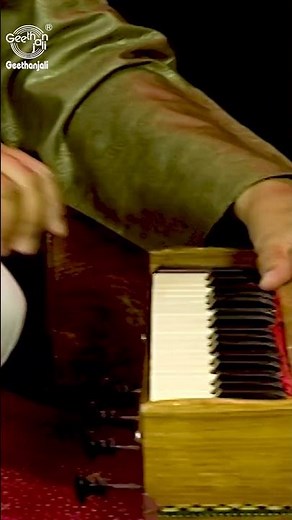 Learn to Play Harmonium | Basic Lessons for Beginners | #harmonium #classicalmusic