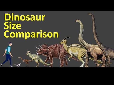 Dinosaur Size Comparison