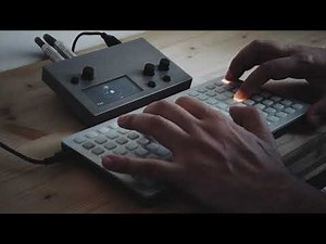 Monome Norns and Grid (Molly the Poly script)