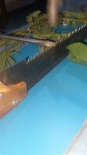Fix Your Stuck Hand Saw With This Easy Sharpening Tip!