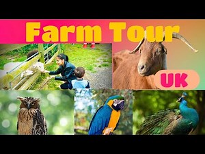 Animals and Birds || UK ||Trip to The hounslow urban farm ||England ||Wild life ||kchahal vlogs