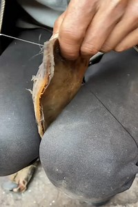 309K views · 1.3K reactions | Chef Cooking And Eating Delicious Seafood | Amazing | Facebook