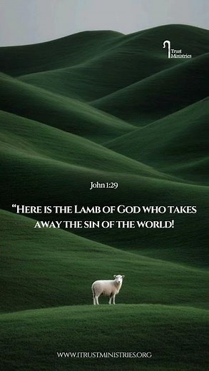 Hope has a name—Jesus, the Lamb of God 🙏#lambofgod #faith #jesus #hope #bible #verse #morning #love