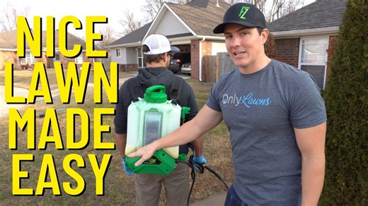 Effective Lawn Weed Control: The Bermuda Triangle Solution!