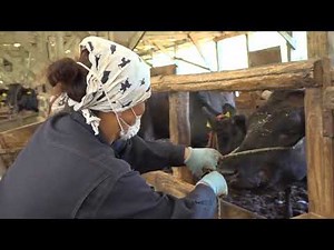 がんばる！畜産！５畜産DX特集 総集編 5分
