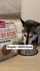 745K views · 55 reactions | Too good to be called kibble, Whole Food Clusters are the ideal pup pantry staple.  Ingredients you can pronounce ❤️ 100% Human grade ✅ Minimally processed ‍⚕️ Crafted with a vet nutritionist | The Honest Kitchen | Facebook