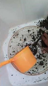 #washing machine drain pipe dirty much in 9 years never clean it.