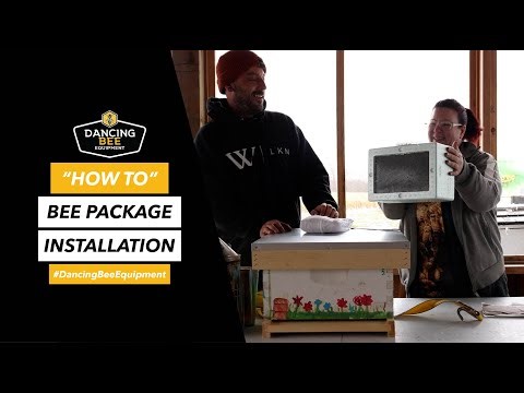 Installing a Bee Package with Josh and Dana from Dancing Bee Equipment