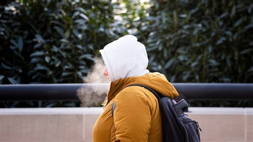 Knoxville forecast includes cold weather advisory: When temps will drop