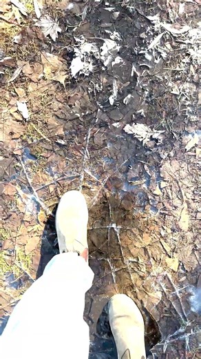 Breaking Frozen Puddles ❄️ (Satisfying Ice ASMR)