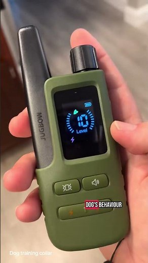 Transform Training with a Collar That Makes a Difference!