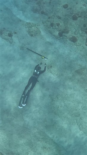 Expert Hawaii Spearfishing Girl | Ryan Myers