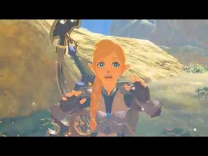 The Linkle Edition (Part 29)