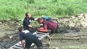 14K views · 196 reactions | These were mud-related mishaps. In 2016, a Junior equestrienne was having the time of her life when her horse Lightning decided to have some messy fun too. In 2023, about 350 people suffered from rashes after participating in a Tough Mudder race in Sonoma County, California. In 2018, when the Belleville Fire Department responded to a call, they found a man stuck in the mud with his pet parrot. | Inside Edition | Facebook