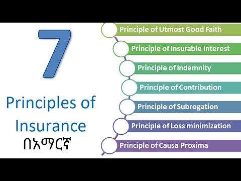 Legal principle of insurance contract | principle of insurance in Amharic
