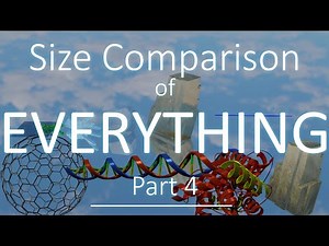 EVERYTHING Size Comparison 2021 (Part 4) 3D 4K 60FPS
