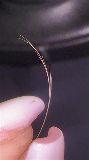 Best Split Ends Treatment for Healthy Hair