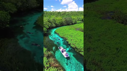 Dive into Brazil’s crystal clear waters in Bonito