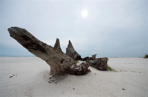 Want to see the most peaceful place in Mississippi? Find white sand beaches on Gulf Coast