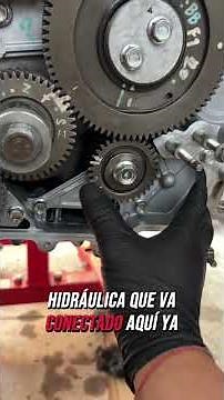 Puntos de la distribución motor Dmx 3.0 4JJ1 #rodamientosautomotrices #taller