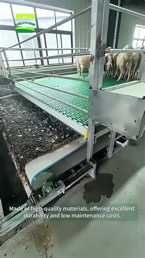 Smart Sheep Barn Cleaning Machine – Full Automation Solution# #farming#goat #sheep
