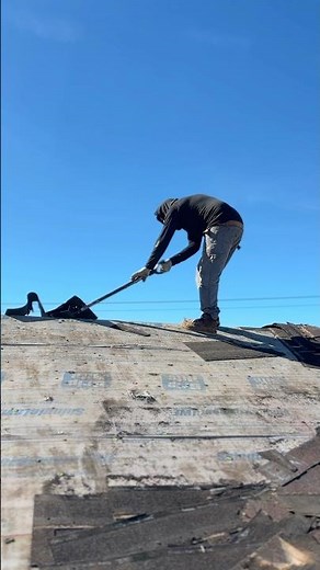 Watch a roofer use a sawtooth roofing shovel to remove shingles! 🔨 #roofing #construction