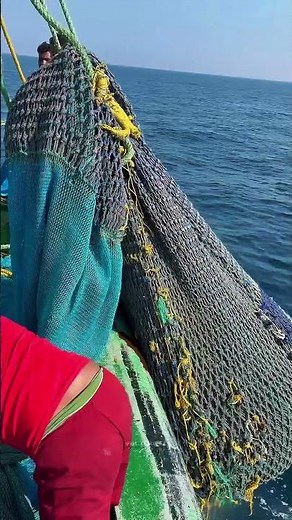 uthless Fishing Technique That Destroys the Ocean | Bottom Trawling Explained #viral