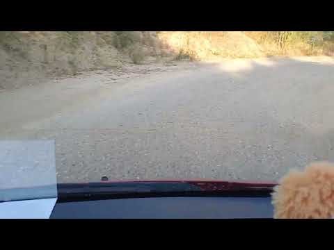 🇬🇷🚗 Thinking of trusting your GPS in Greece? Think again! 😂