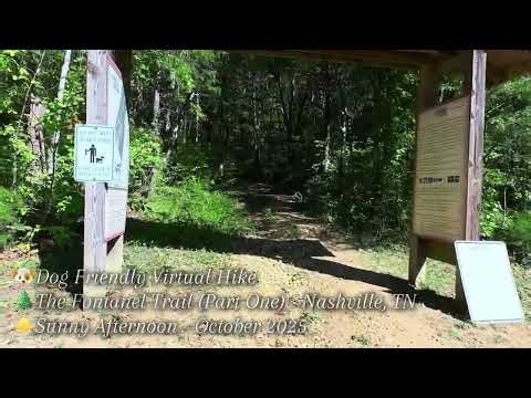 🌲Dog Led Virtual Hike: 12-Minute Calming Nature Escape (Fontanel Trail Part 1)