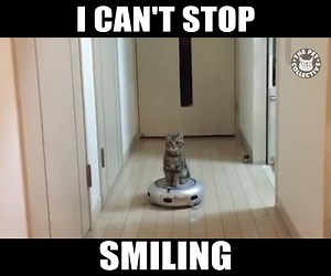 1.7M views · 16K shares | Roomba cat is the best  | The Pet Collective | Facebook
