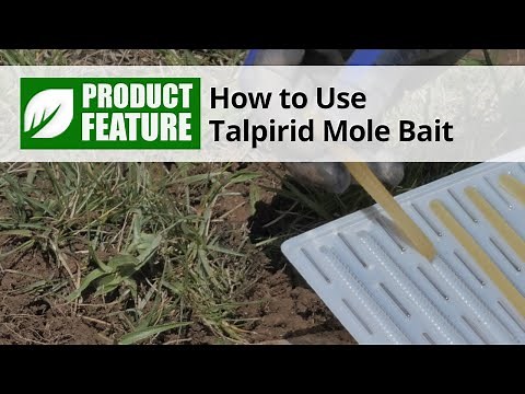 How to Use Talpirid Mole Bait | DoMyOwn.com