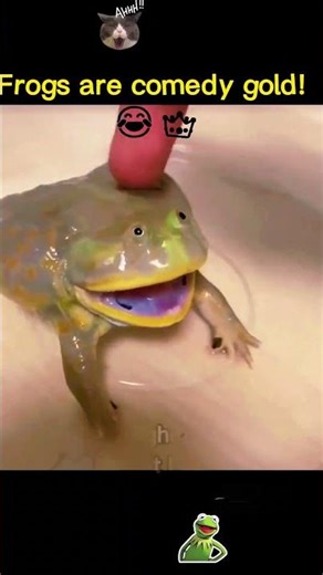 Cats vs. Screaming Frogs: The Ultimate Showdown of Hilarity! 🐱🐸🤣 #shorts #funny