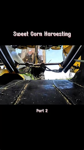 #farming #farm #farmwork #harvesting #bellsfarming